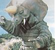 Dorigorus