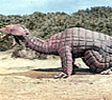 Longneck