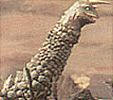 Jurasairous