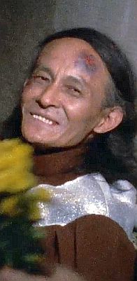 Sarin-Seijin Professor Dodole