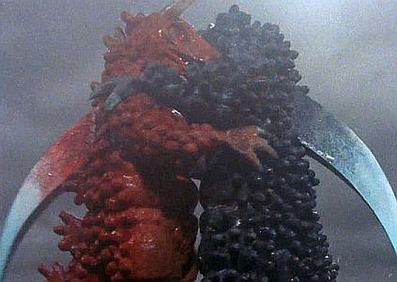 Red Gilas and Black Gilas