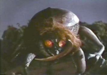 Kabuton
