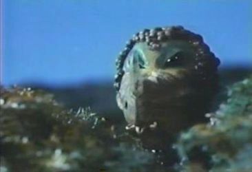 Kanekujira
