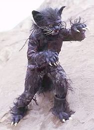 Black Cat Beastman