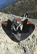 Triplon Version 1