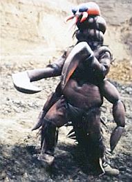 Beastman Snake Dragonfly (larva) photo