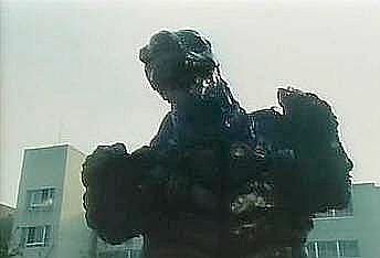 Rock Turtle Creature - picture courtesy of  Basri Ispand