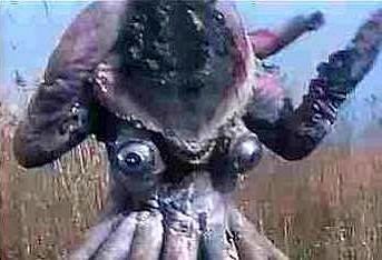 Squid Creature - picture courtesy of Basri Ispandi
