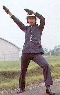 'Henshin'