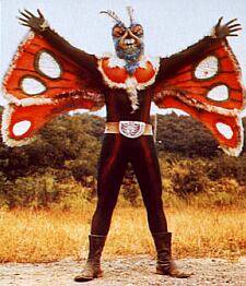 Murderous Poison Moth
