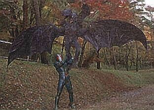 Bat Man