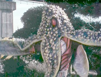 Starfish Ogre